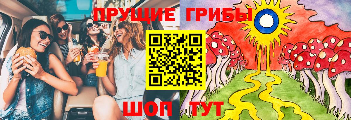 Псилоцибиновые грибы мицелий  Вход с VPN  Кировск  купить наркоту  Галлюциногенные грибы Magic Shrooms 